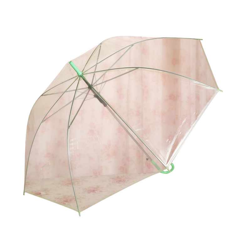 Color transparent umbrella environmental protection umbrella wholesale automatic long handle gift umbrella advertising umbrella ten yuan shop supply Item Picture