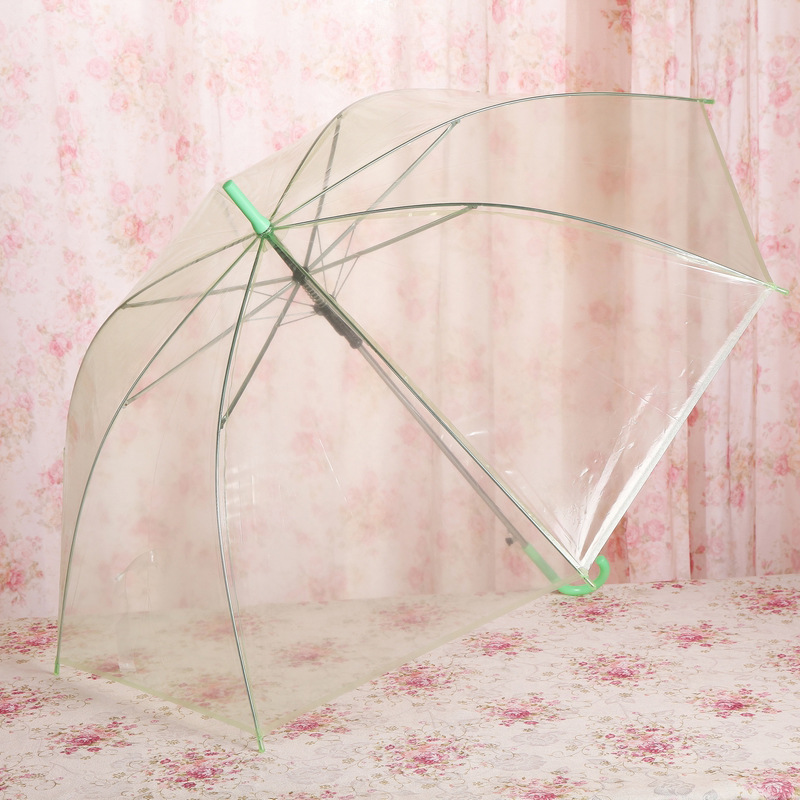 Color transparent umbrella environmental protection umbrella wholesale automatic long handle gift umbrella advertising umbrella ten yuan shop supply details Picture